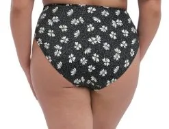 Bas De Bikini Slip ELOMI "Plain Sailing" ES7275 - Black Daisy BDY -Vente de soutien-gorge pas cher Bas20de20Bikini20Slip20ELOMI2022Plain20Sailing2220ES727520 20Black20Daisy20BDY 1