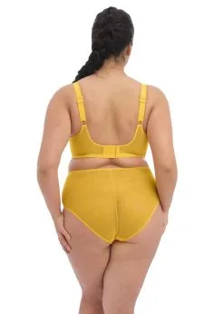 Culotte Taille Haute ELOMI "Matilda" EL8906 - Daisy DSY -Vente de soutien-gorge pas cher Culotte20taille20haute20ELOMI2022Matilda2220EL890620 20Daisy20DSY 1