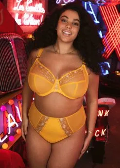 Culotte Taille Haute ELOMI "Matilda" EL8906 - Daisy DSY -Vente de soutien-gorge pas cher Culotte20taille20haute20ELOMI2022Matilda2220EL890620 20Daisy20DSY 4