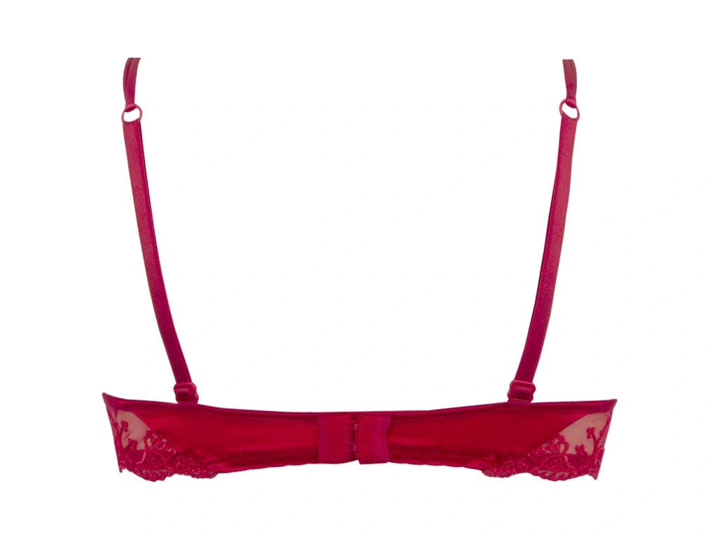 Soutien-gorge Corbeille LISE CHARMEL "Splendeur Soie" ACC3080 - Splendeur Rouge 2478 2 Soutien-gorge Corbeille LISE CHARMEL "Splendeur Soie" ACC3080 - Splendeur Rouge 2478 – Image 2