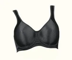 Soutien-gorge De Sport AVEC Armatures ANITA ACTIVE Maximum Support "Momentum" 5519 - Noir 001 -Vente de soutien-gorge pas cher Soutien gorge20de20sport20AVEC20armatures20ANITA20ACTIVE20Maximum20Support2022Momentum2220551920 20Noir20001 2
